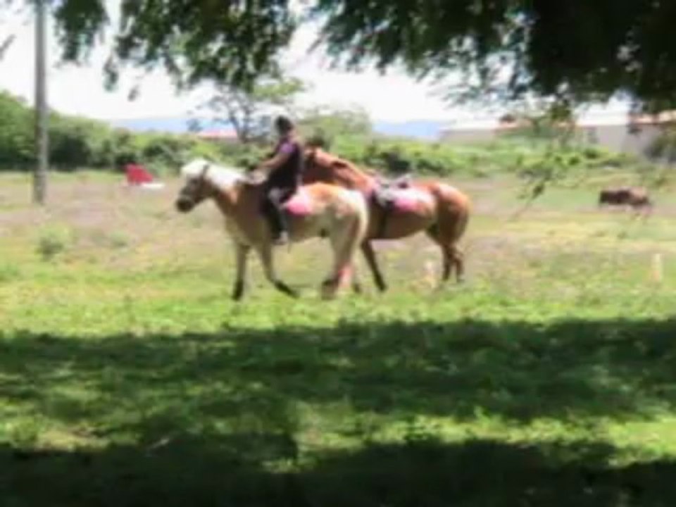 Préparation UC 9 travail en destre Dayane, Lenok et Kundera