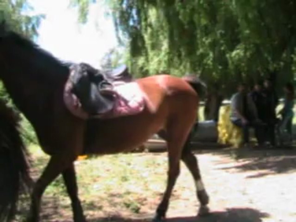 Préparation UC 9 travail en destre un peu tout le monde