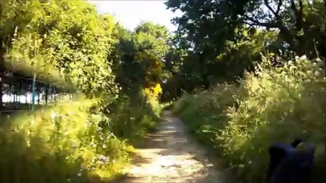 Balade en tricycle couché (recumbent trike) autour de Pornic