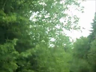 Premier orignal dans son élément naturel vu par Alexandre