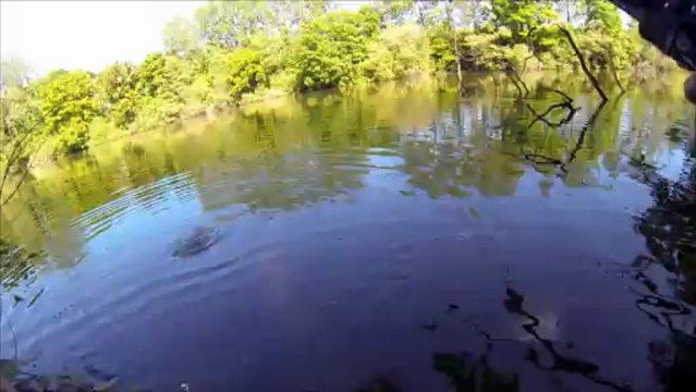 brochets aux leurres