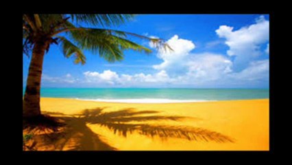 Vybe Beatz - Eagle-Animations - Paradise