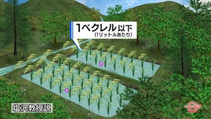 “里山”汚染メカニズムを解明せよ ～福島農業・2年目の模索～