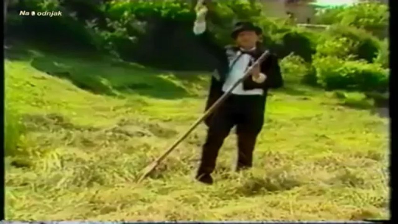 Rade jorovic - nisam cata