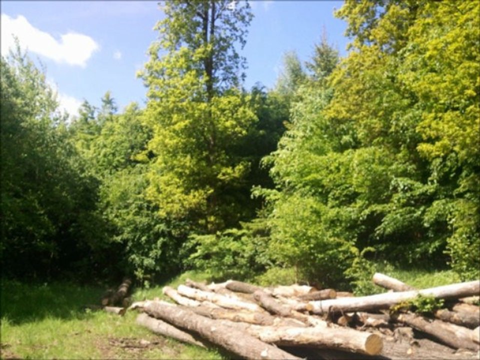 Sauerland Höhenflug Etappe 2 Neuenrade Altenaffeln