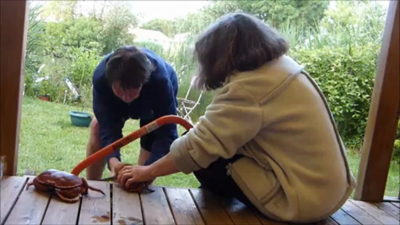 Le tourteau de la mort