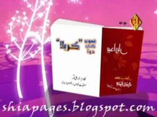 Rizwan Zaidi Manqabat 2014 - Ghamo Ki Dawa Karbala