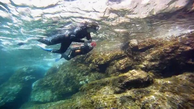 Randonnee palmee avec A l'eau plongée 83