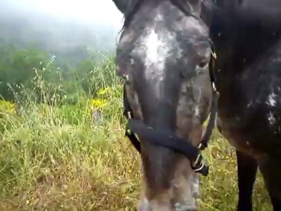 Dioux le 16-06-2013 (épisode 3)