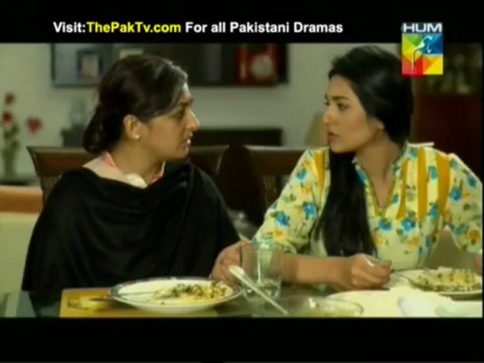 Humnasheen Episode 15 By HUM TV