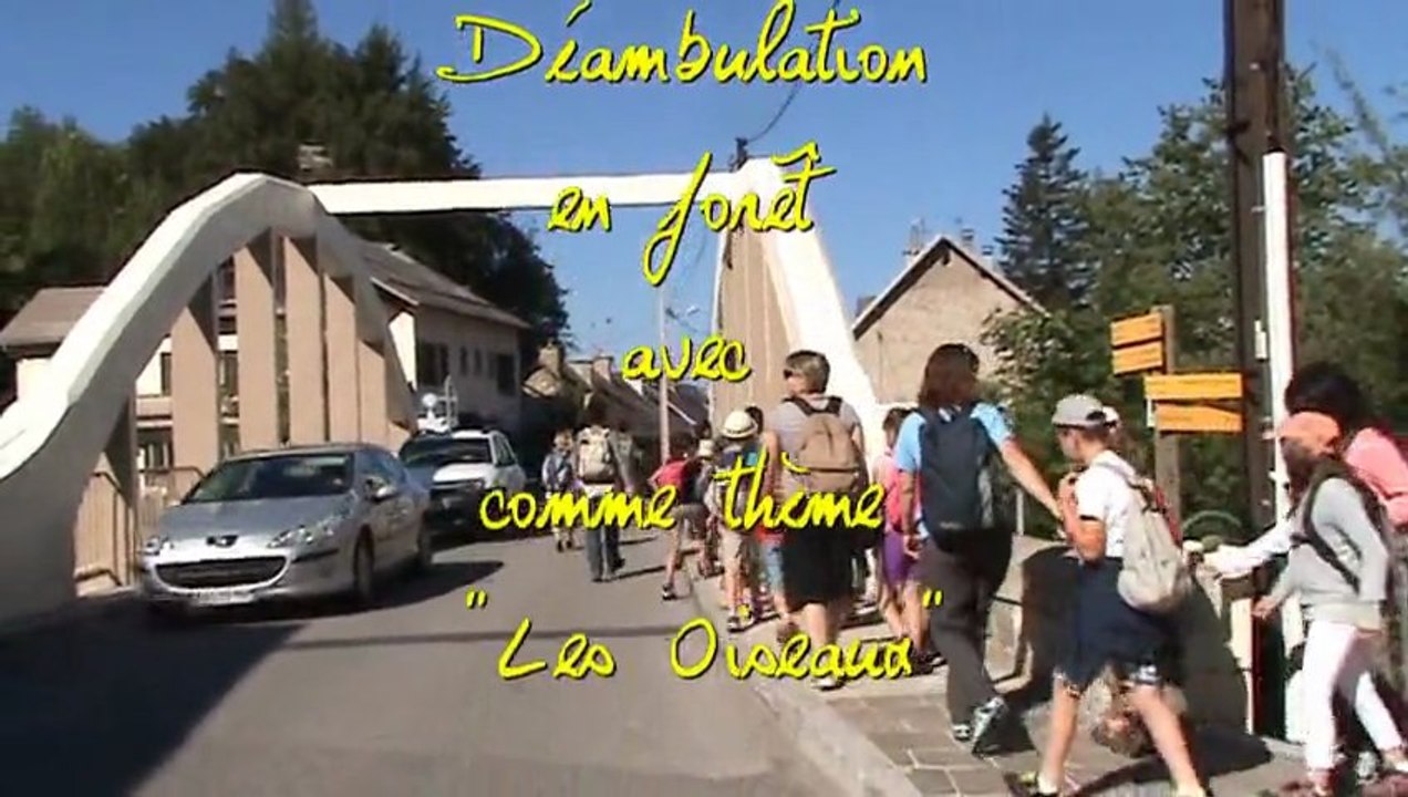 deambulation forêt