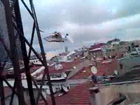 VID 00001-20130614-1146