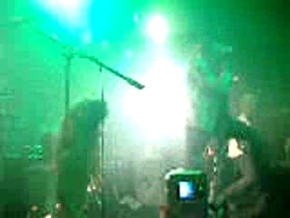 Look what the bats dragged in