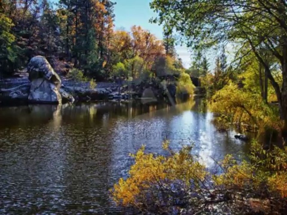 Idyllwild by The Electric Trunk