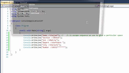 Console Application with Escape Sequence