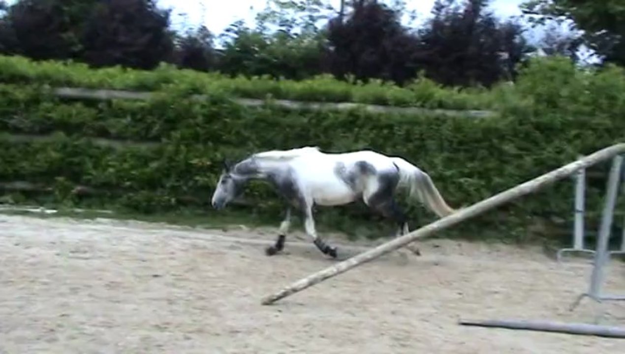 saut en liberté