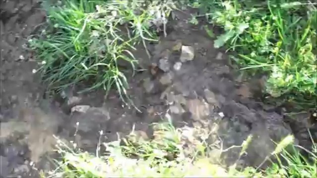 Çığırlı Hatırası 14. Bölüm