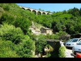 Thorrenc, ch Ref:x10ysf3