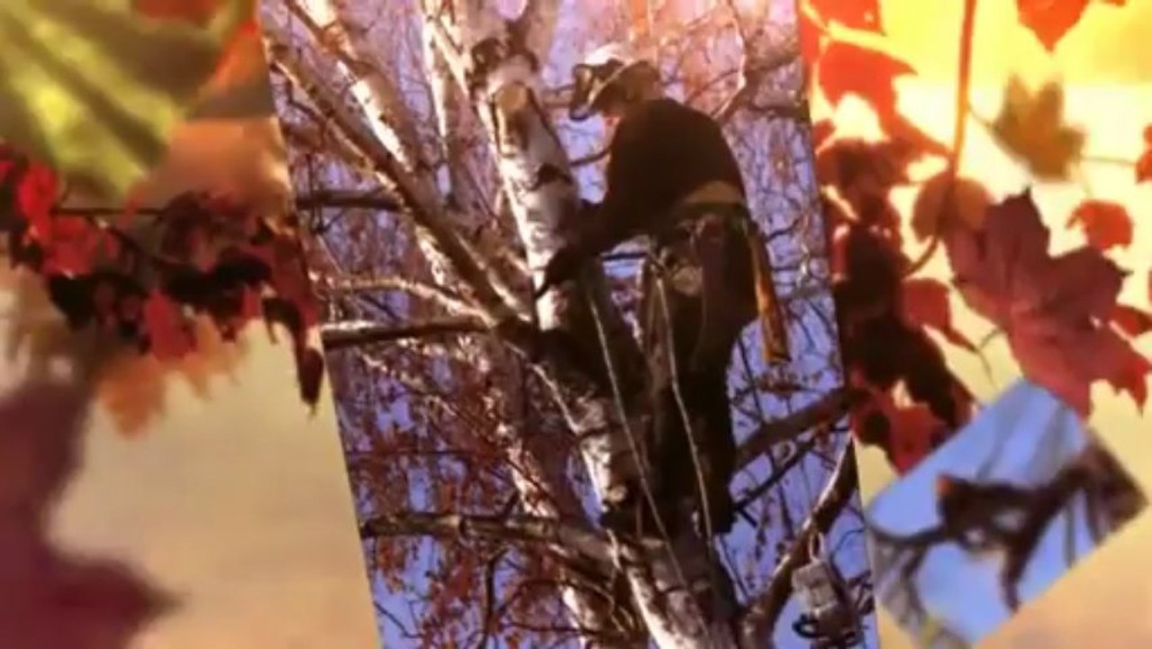 Arbor Concepts Inc (901) 235-5750