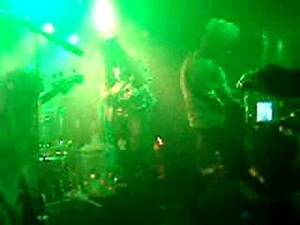 Look what the bats dragged in (2)