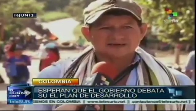 Campesinos en Colombia solicitan que sus tierras sean zonas de reserva