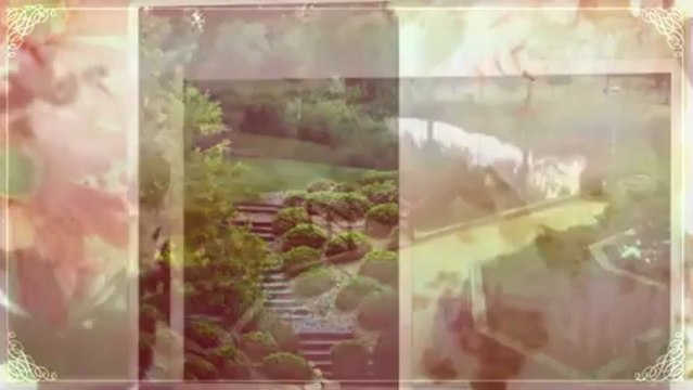 Sierra Tropical Property Service - (954) 479-2466