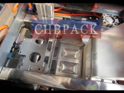 Water Soluble Packaging Machine