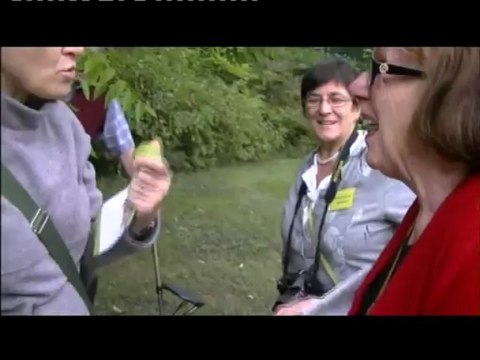 Journées Européennes du Patrimoine 2012 (bonus)