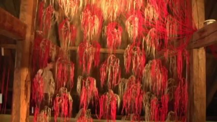 Exposition Biennale du lin 2013