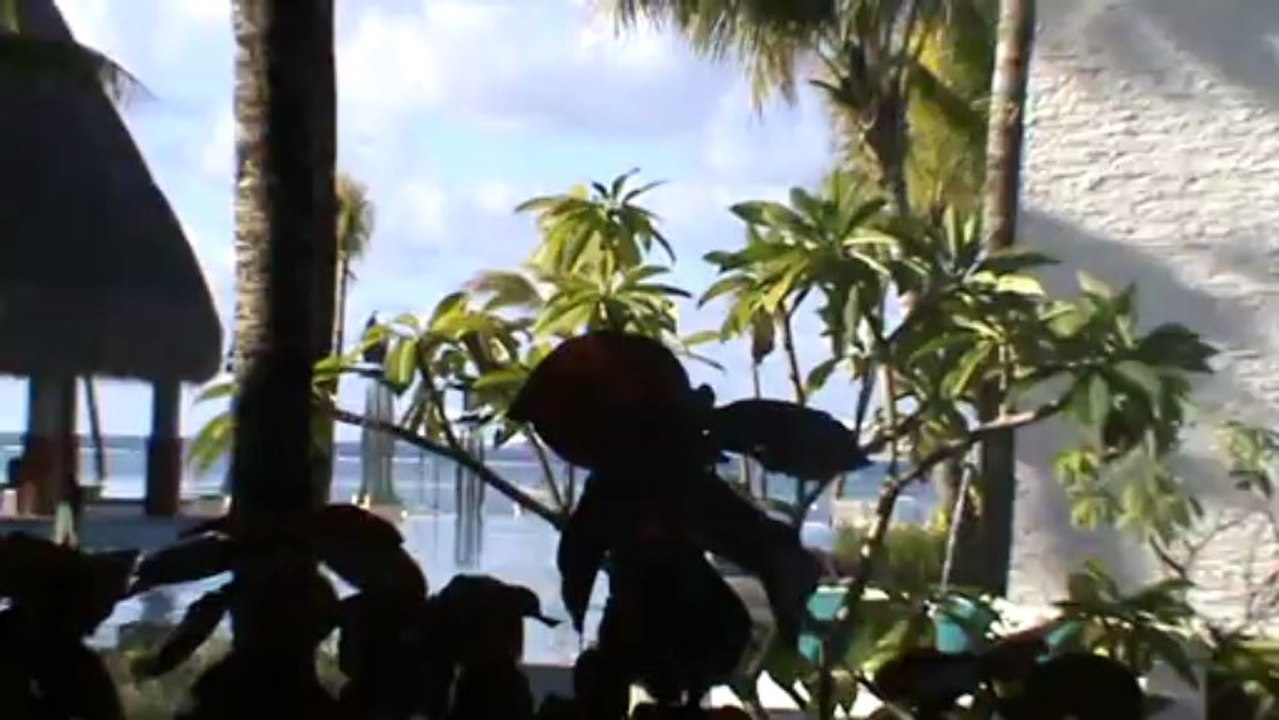 Mauritius Hotel Ambre Belle Mare D'Eau Douce Osten Mauritius