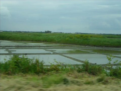 Marais Salants de Guérande