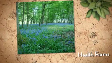 Green Farm Fitness offers health in ‘The Weekend,’ A Perfect Health Program