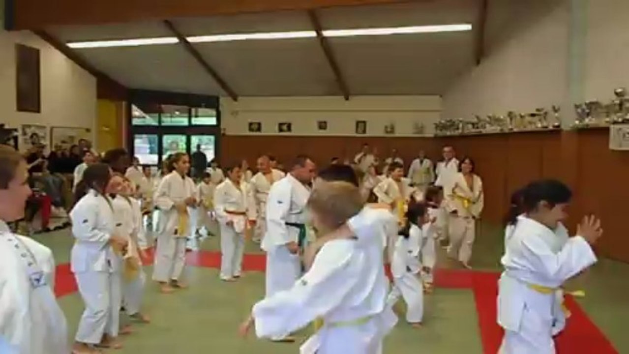 Psy judo