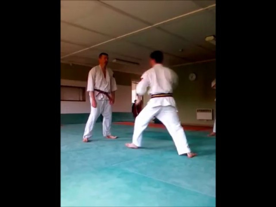 Nihon tai jitsu :defense contre mawashi geri par bloquage et fauchage