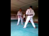 Nihon Tai-Jitsu: defense contre yoko geri par absorption et fauchage