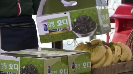 bvs.b18.trsub.luna-001