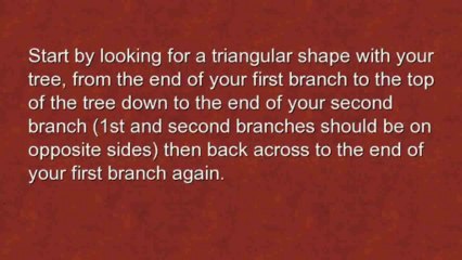 Begin Your Bonsai Journey Today 🌱 | Tips & Guide for Beginners