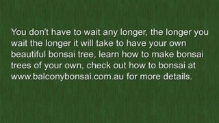Make Bonsai of your own