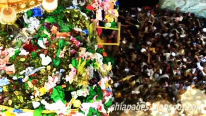 Mir Hasan Mir Manqabat 2013-14 - Aie Zair e Husain (as)