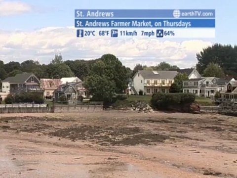 Dusseldorf - Germany, Tenerife - Spain, Udaipur - India, Budapest - Hungary, Gibraltar - British Overseas Territories, Cologne - Germany, St. Andrews - Canada