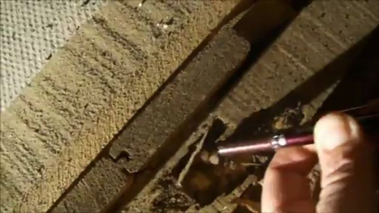 Separate Building & Pest Essential - Building Inspections Brisbane