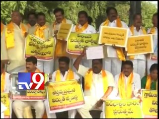 TDP leaders protest against power crisis