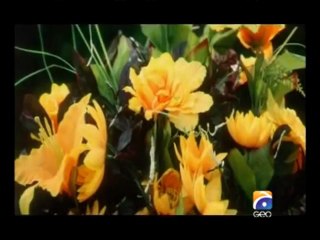 Mein Ek Din Laut Kay Aaoon Ga (2007) P1