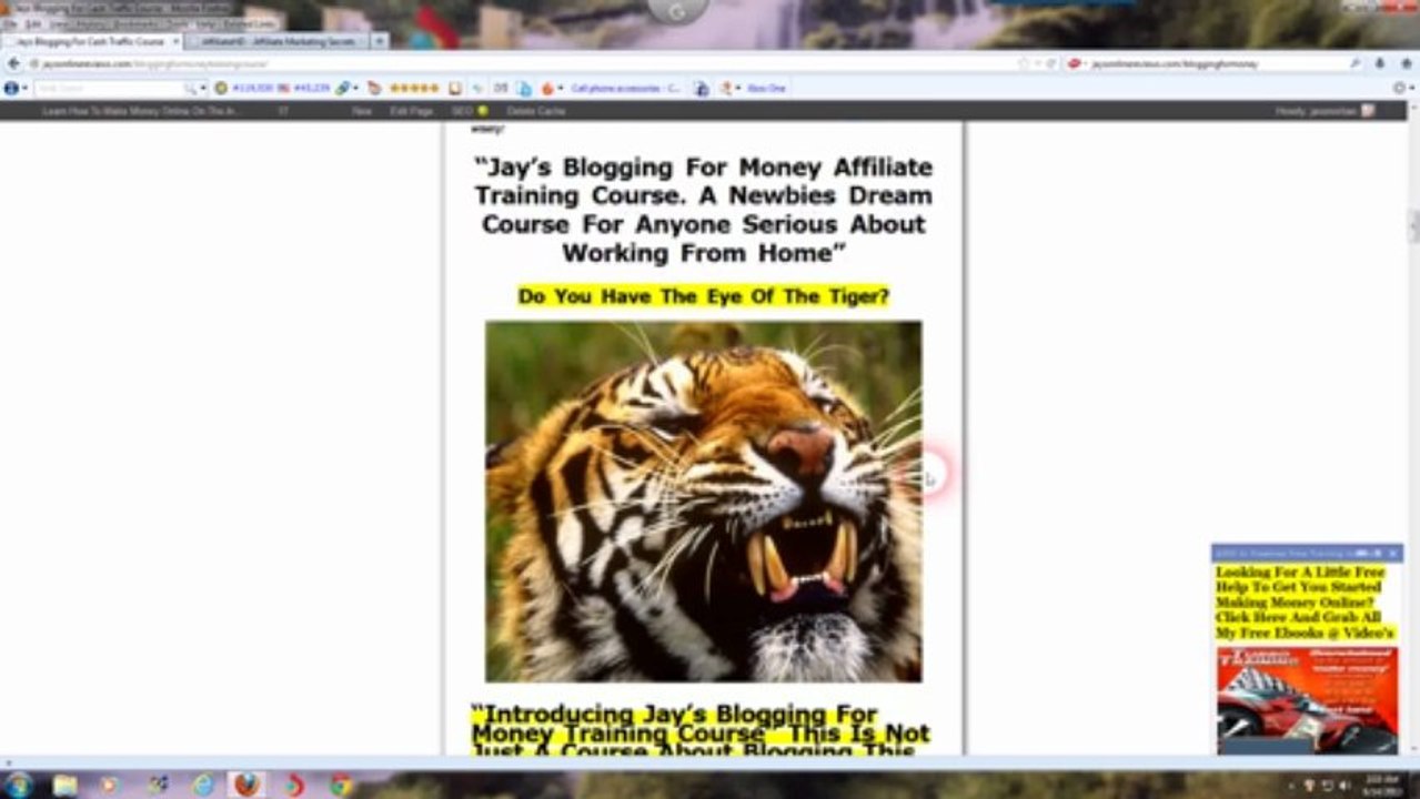 How To Make Money Online Internet Marketing Training