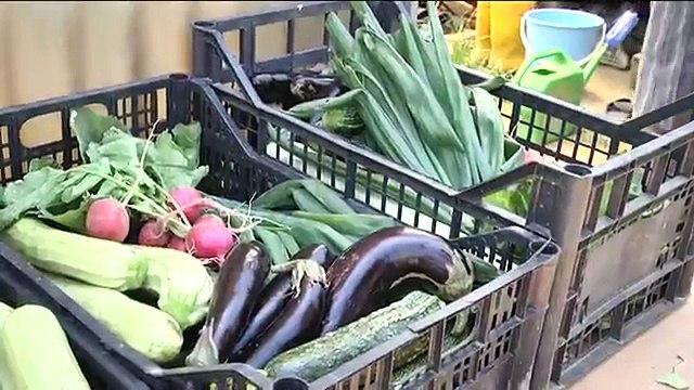 Napoli - L'orto nel carcere di Secondigliano -2- (17.06.13)