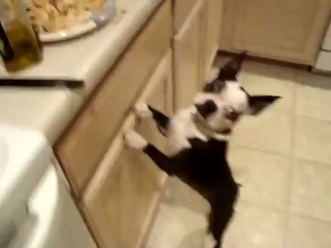 Хочешь курочку? Дай пять!