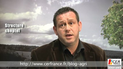 La prime à la vache allaitante : L'Europe fait-elle le bon choix ? par Guillaume Maraval