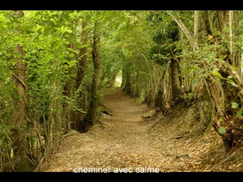 Pyrénées: retour à la source de soi