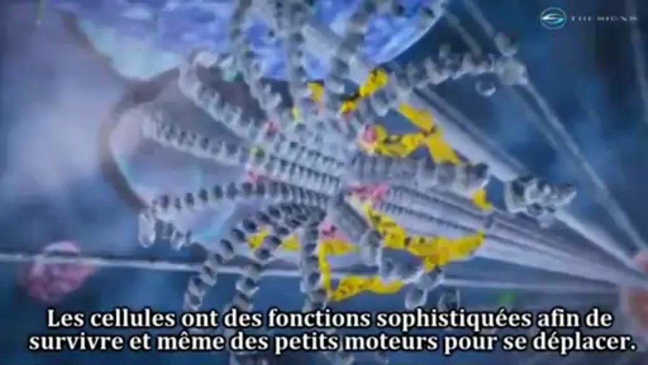 la complexité de la cellule part 1