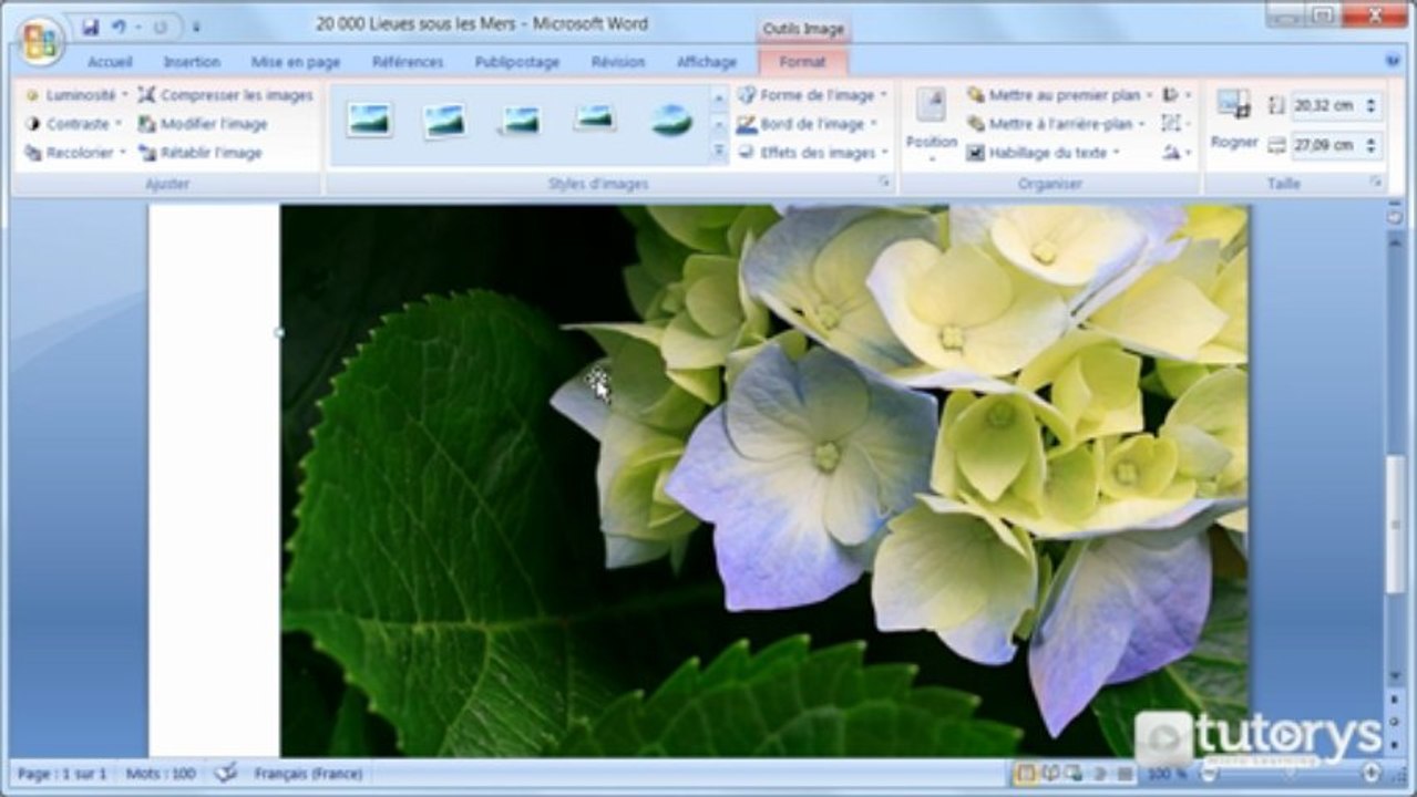 Comment transformer une image insérée avec Word 2007 ?